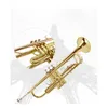 Högkvalitativ trumpet MTR-200 Bb B platt trumpetinstrument med hårt fodral, munstycke, tyg och handskar, guld