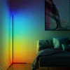 Vloerlampen Modern Minimalistisch Led Rgb Hoeklamp Kleurrijk Creatief Slaapkamer Woonkamer Decoratie Binnenverlichting Staand