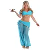 Sexy femmes Costumes de danse du ventre Transparent en mousseline de soie Sequin déguisement Style exotique danse indienne scène Performance Clothing251H