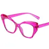 Occhiali da sole 2023 Fashion Cateye Anti Blue Presbyopic Occhiali da lettura Donna Colori caramella Vision Care Occhiali da vista Ingrandimento Eyewear 1.75