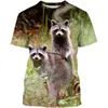 T-shirts pour hommes Raton laveur T-shirts Animal mignon Impression 3D Streetwear Hommes Femmes Mode décontractée Chemise surdimensionnée Enfants Garçon Fille T-shirts Tops Vêtements