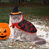 猫の衣装コスチューム子猫ハロウィン犬服ペットとマント形状犬の衣装