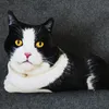 Plush Dolls 50cm LifeLike Plush Cat Pillow محشو ثلاثي الأبعاد بطبعة حيوان رمي هدية الديكور المنزل للسيارة 230711