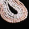 Perles Style perle d'eau douce naturelle irrégulière en vrac 4-5 Mm pour la fabrication de bijoux Bracelet à bricoler soi-même collier accessoire