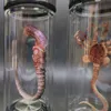 Öğeler Uzaylı Kavanoz Xenomorph Örneği FaceHugger Embriyo Cam Kavanoz Film Prop Replica L230711