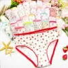 Panties 24pcs Lot Cotton Girls Briefs Children's Underwear Triangle Kids Underpants 2 12Years 230711