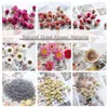 Высушенные цветы 1box Lemon Slice Rose Bud Head Lavender Granule Flower Diy Столденый восковой восковой материал Материал Дом 230711