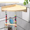 Autres fournitures pour oiseaux Balançoire Jouet en bois Perroquet Perchoir Support de jeu avec perles à mâcher Cage Aire de jeux pour perruches 230711