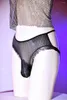 Cuecas Masculinas Sexy Lace Sissy Pouch Cuecas Gay Masculinas Transparentes Cuecas Cuecas Cuecas Exóticas Penis Hole Cintura Baixa Lingerie