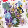 Decorative Flowers 1 Bag Dried Diy Pressed Stickers For Phone Case Jewelry Making Crafts Nail Art Decor Vintage Scrapbook Sticker