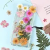 Torkade blommor 1 paket pressade torra löv Örter Kit för hartsform DIY smycken att göra hantverk Ljus Nail Art Ansiktsdekoration 230711