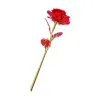 DHL 24K Guld Folie Rose Flower LED Luminous Galaxy Mors dag Alla hjärtans dag present Modepresenter 1205