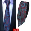 Designer Hommes Cravate Élégant Homme Floral Paisley Cravates Classique Affaires Casual Cravate De Mariage 145 * 8 * 3.8 cm