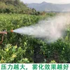 Décorations de jardin pulvérisateur pistolet agricole Mobile haute pression eau réglable atomisation Direct pistolet Type court