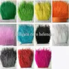 Lotes de 10 jardas Muticolor Longo Plumas de Penas de Avestruz Franjas 8-10cm Listras Boa de Penas para Acessórios de Roupas de Festa Craft205O