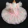 Vêtements de scène Tutu de Ballet professionnel rose pêche pour enfants Adulto crêpe femmes robe de ballerine cygne Costumes de danse filles