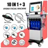 Le plus récent 10 en 1 Hydra Dermabrasion RF Bio-lifting Spa Facial Machine Water Oxygen Jet Hydro visible hydra facial Diamond Peeling Microdermabrasion