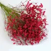 Fiori secchi Erba di cristallo Bouquet di fiori conservati Rosa rossa secca naturale Rosa Fiore secco Casa Matrimonio Ufficio Decorazione domestica moderna 230711