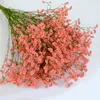 Fiori secchi Erba di cristallo Bouquet di fiori conservati Rosa rossa secca naturale Rosa Fiore secco Casa Matrimonio Ufficio Decorazione domestica moderna 230711