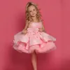 Robes de fille mignon rose princesse fleur robe fille girn kild anniversaire fête concours robes de paille
