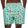 Herren-Shorts, lässige Herren-Bademode, Badeshorts, Strand-Boardshorts, Badebekleidung, Herren, Laufsport, Surfen, Shorts 230711