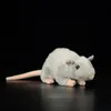 Bambole di peluche 17 Long Soft Real Life Small Grey Rat Mouse Peluche Topi realistici Animali di peluche Giocattoli Bambole Regali per bambini Animali domestici 230711
