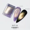 Smalto per unghie 15 colori Sparkly Sky Magnetic Gel Purple Blue Holographic Cat Magic Soak Off UV Magnet Art 230712