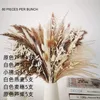 Home Decor Dekoration Getrockneter Hasenschwanz Pampasgras Getrockneter Blumenstrauß Boho Blumenstrauß Konservierter Eukalyptus Ruscus Reed Pampas Flauschige Sträuße