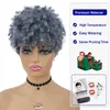Peruki syntetyczne GNIMEGIL Krótkie Afro Curly Peruka Siwe włosy Dla czarnoskórych kobiet Codzienny Cosplay Halloween Do użytku imprezowego Puszysta i elastyczna fryzura