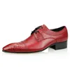 UFFICILE FASEDE FASCIE FASEMALE DERBY DESIGNO VINTAGE RED BLACH SHEPE SCARICO SUPPIATO MAGGIETTO Punta di.