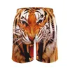 Shorts pour hommes Tiger And Flame Board Classic Male Beach Animal Print Trenky Swim Trunks Plus Size