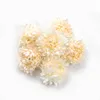 Fiori secchi Nanairo 10pcs 6cm Testa di fiore artificiale di crisantemo di seta per la decorazione domestica di nozze Ghirlanda fai da te Festa artigianale Falso 230711