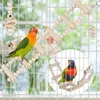 Other Bird Supplies Parrot Swing Toys Set Chewing Standing Parakeet Perch Hammock Climbing Ladder Cage for Budgerigar Cockatiel Mynah 230711