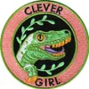 HIGH QUALIT CLEVER GIRL DINOSOUR EMBROIDERY PATCH FRESH ADVENTURE COOL FASHIONABLE IRON ON SEW ON CLOTHING JACKET PATCH SHIPP354w