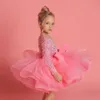 Girl's Dresses Kids Pageant Dresses Sequin Tutu Flower Girl Dress Long Sleeves Sparkling Sequin Ruffles Tulle Girl's Birthday Gowns Big Bow 230712