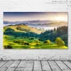 Paysage photographie mur Art collines forêt montagnes Nature plantes vertes décoration de la maison peinture toile affiches et impressions L230704