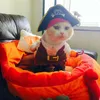 Cat Costumes Funny Pirate Suit Clothes Kitty Kitten Corsair Halloween Costume Puppy Suits Dressing Up Party For Pet