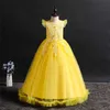 Mädchenkleider Neue Kinder Mädchen Hochzeit Blumenmädchenkleid Prinzessin Party Festzug formelles Kleid Ärmelloses Kleid 3–14 Jahre AbnutzungHKD230712