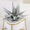 Fleurs décoratives décor à la maison artificielle plante verte Simulation décoration intérieur table Cactus Pot ornements créatifs cadeaux nordiques