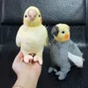 ぬいぐるみミニサイズリアルなグレーオカメインコぬいぐるみ実生活ソフト黄色オウム鳥ぬいぐるみおもちゃ人形子供のためのギフト 230711