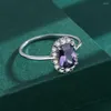 Cluster Ringen S925 Sterling Zilveren Ring Japanse Serie Ovale Klassieke Saffier Dames Party Verjaardagscadeau Groothandel