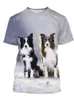 T-shirts pour hommes été Border Collie T-shirt imprimé en 3D mignon Animal chien col rond petit haut et décontracté à manches courtes pour femmes