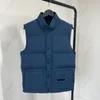 2024 Designer Classic Down Vests Womans Goose Coats Kamizelki damskie Women Designer Biała odznaka kurtka jesienna płaszcz wierzchnia odzież przyczynowa ciepłe zagęszczone parki