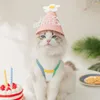 Костюмы для кошек ПЭТ День рождения жилет 1 Сит Симпатичная очаровательная привлекательная рубашка для собак и аксессуары для шляпы