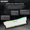 Memoria Gloway Memoria RAM DDR4 3200MHz RGB 8GBX2 3600MHz 16GBX2 32GB لضمان سطح المكتب 230712