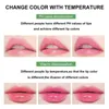 Lippenbalsam Großhandel 12 Teile/satz Aloe Vera Lippenbalsam Langlebiger nahrhafter Farbwechsel getönter Lippenbalsam Temperatur feuchtigkeitsspendender Lippenstift 230712