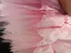 Podiumkleding Komt Professionele Hoge Kwaliteit Costom Kleur Maat Kinderen Meisjes Volwassen Vrouwen Prestaties Roze Ballet Tutu