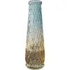 Vases Hydroponic Nordic Glass Vase Aesthetic Decoration Modern Tall Small Design Transparent Floreros Luxury Home Decor WK50HP