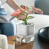 Vases Table Plante Pot De Fleur Transparent Automatique Absorption D'eau Carré Pot De Fleurs Conteneur Ornements Décor Pour La Maison