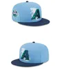 월드 시리즈 챔피언 Chicago Gorras Boston Bones Los Angeles NY Snapback Hats Sports New York La Love Hustle Flowers Oakland Recredable